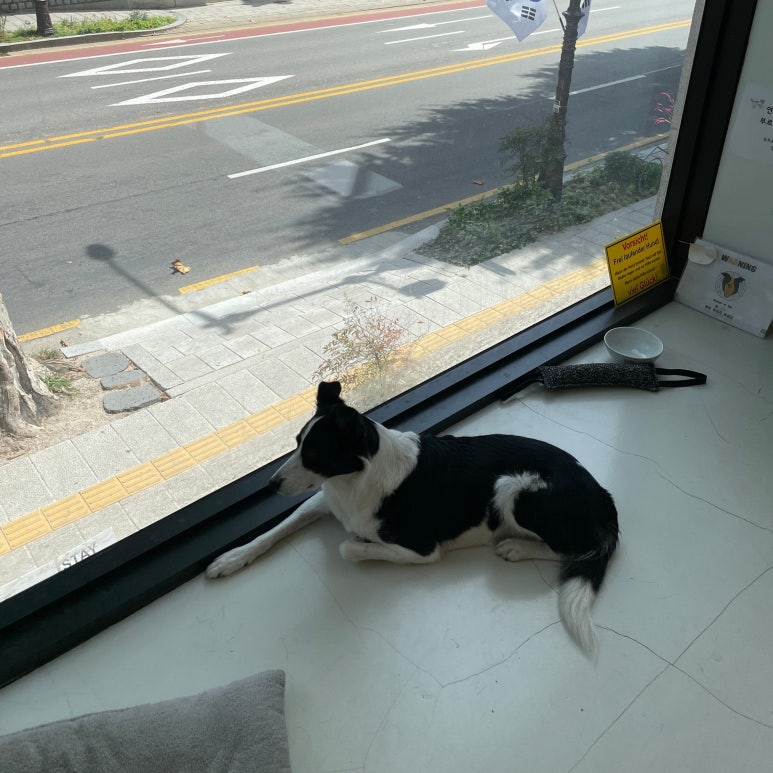 서문여관 이미지