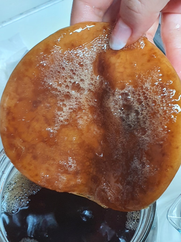 스코비 이미지