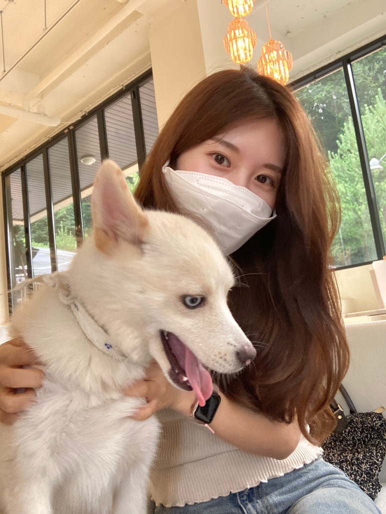 공상가옥 이미지