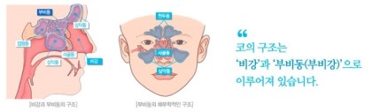 목구멍 이미지