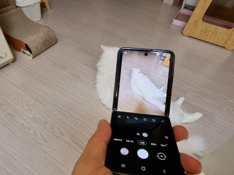 나원화장품 이미지
