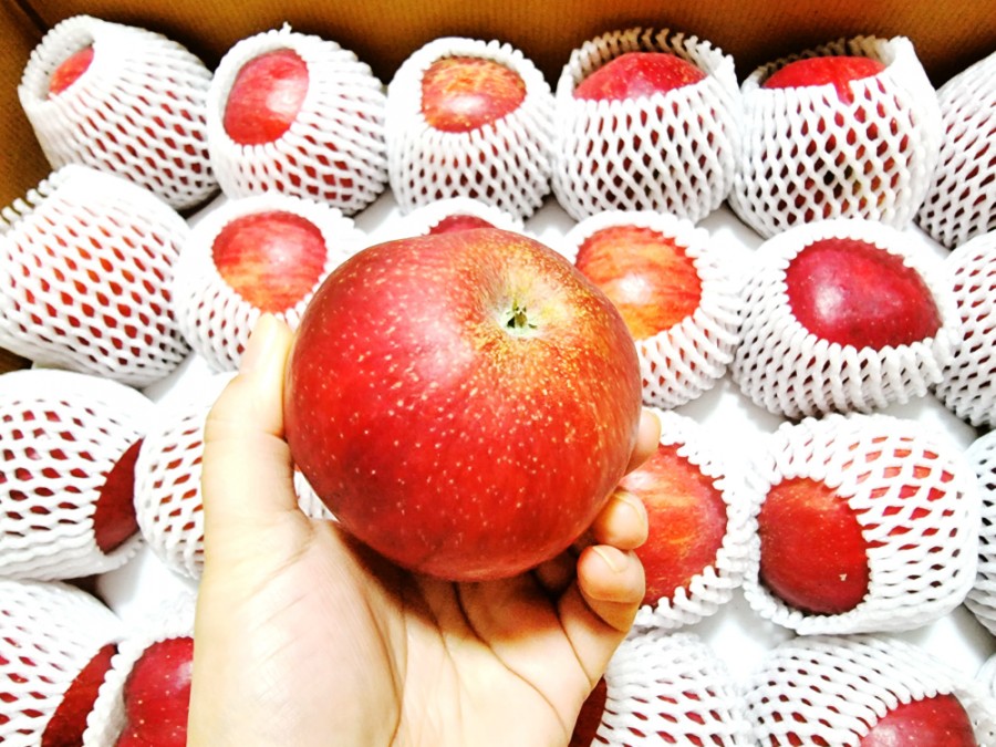 혈천농원 이미지