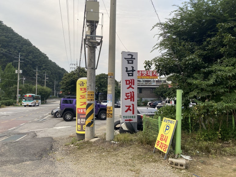 금남멧돼지 이미지