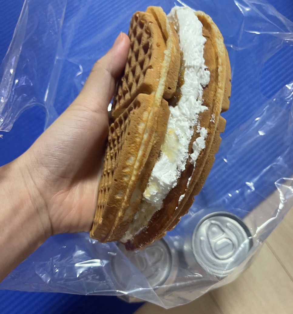 와플라이더 이미지