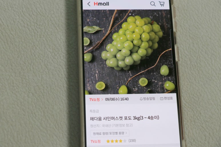 채다움 이미지