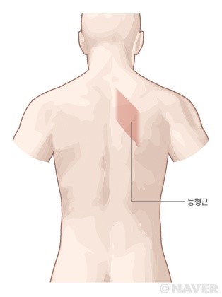 로우컴퍼니 이미지