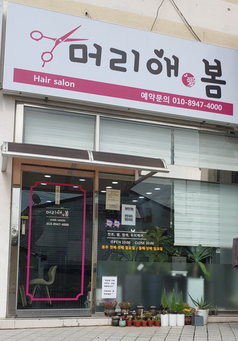 머리애봄 이미지