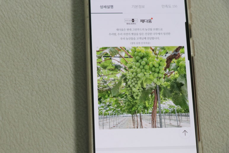 채다움 이미지