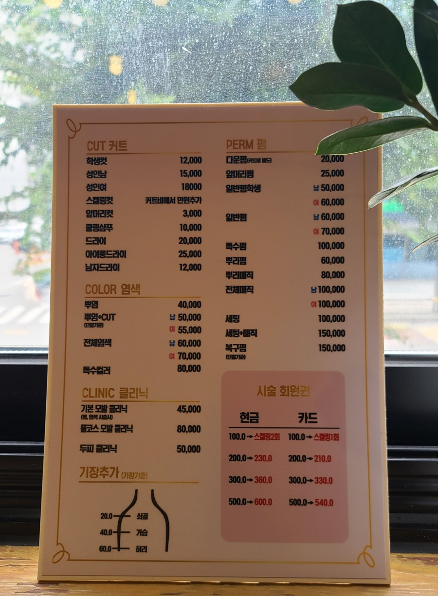 셀렌헤어 이미지