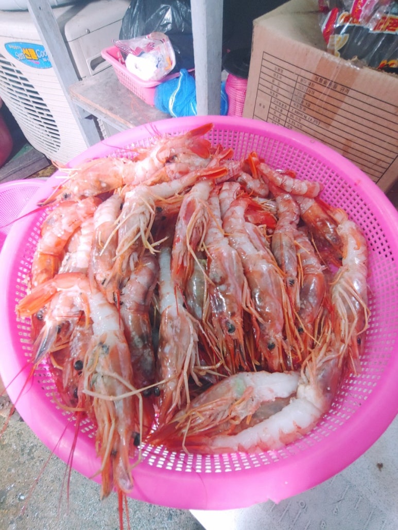 개미집 이미지