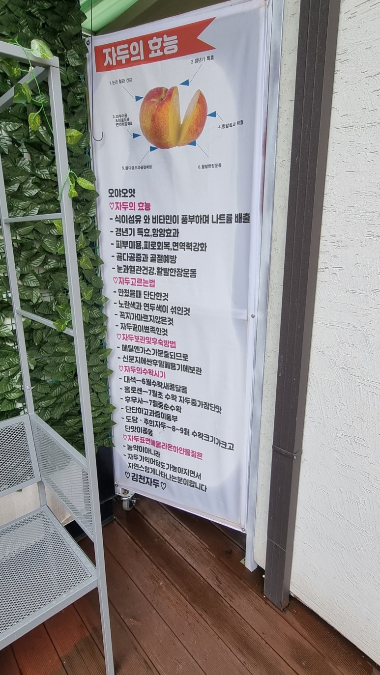 오야오얏 이미지