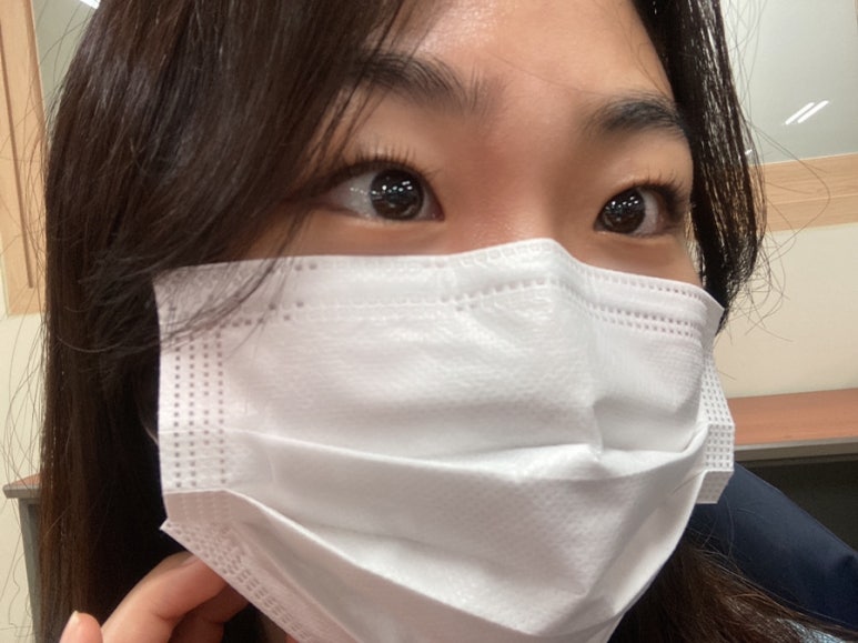 도도브로우 이미지
