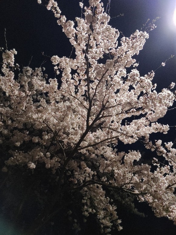 아름드리심리상담센터 이미지