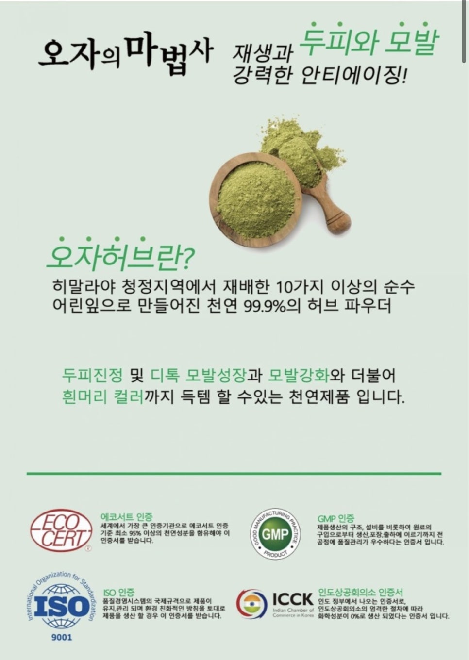 보스헤어 이미지