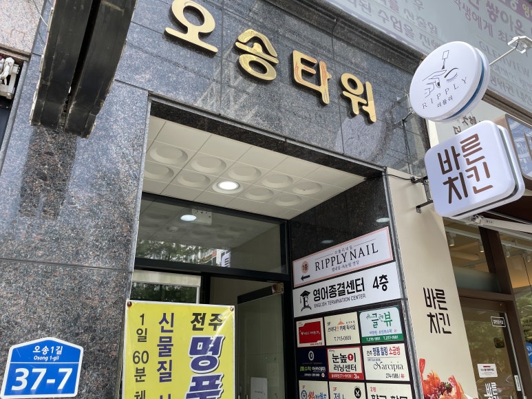 리플리네일 이미지