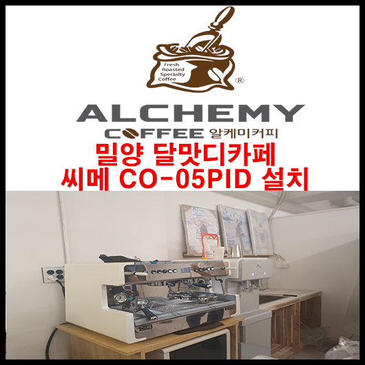 달맛디 이미지