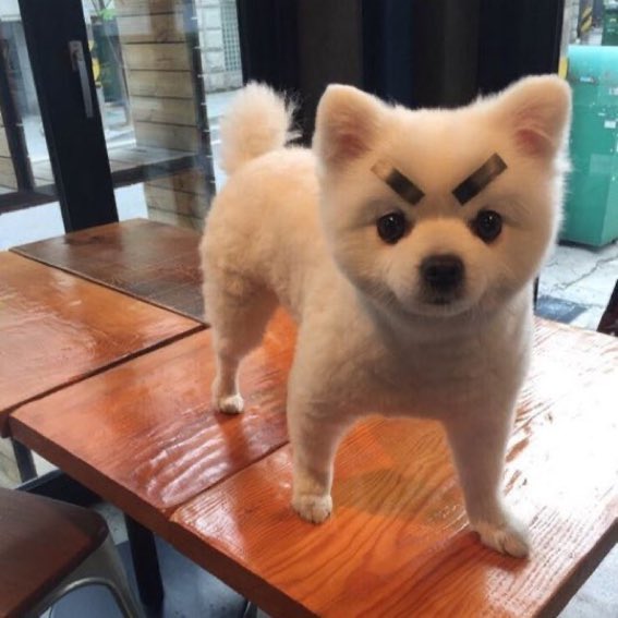 해주젓갈 이미지