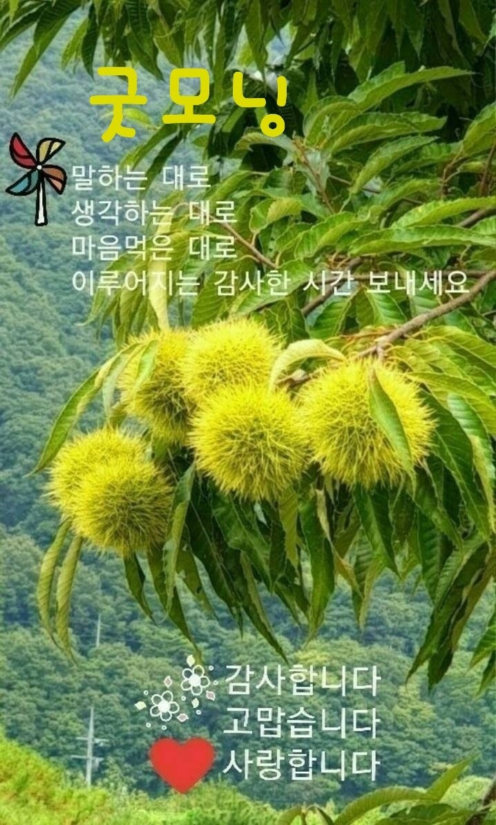 알품는 마을 이미지