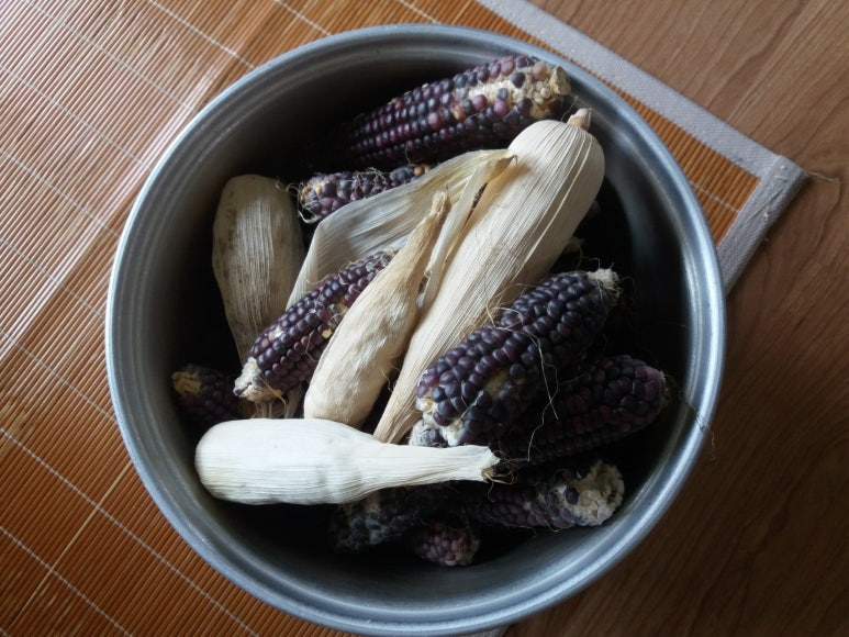 부부옥수수 이미지