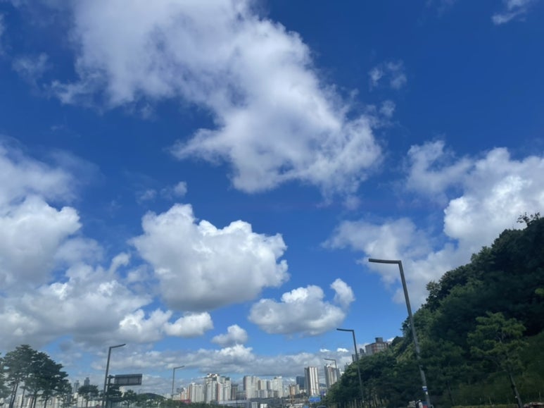 지영마트 이미지