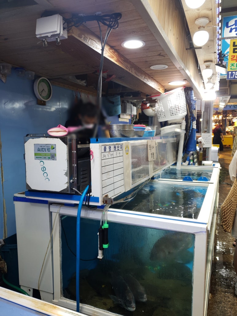 쏭빠 이미지