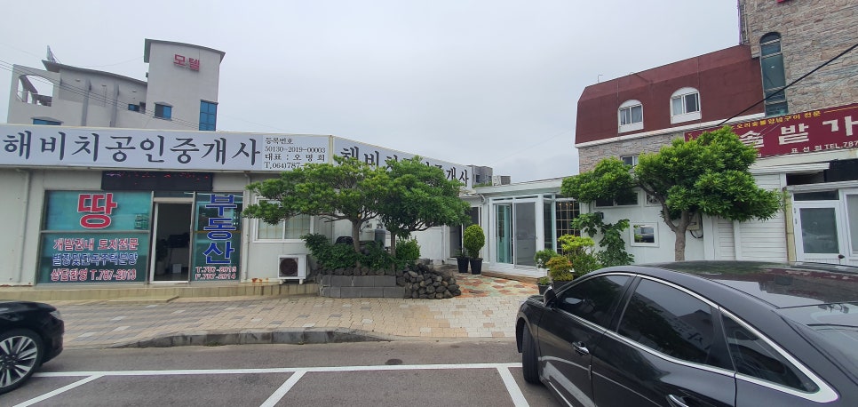 파피용살롱드떼 이미지