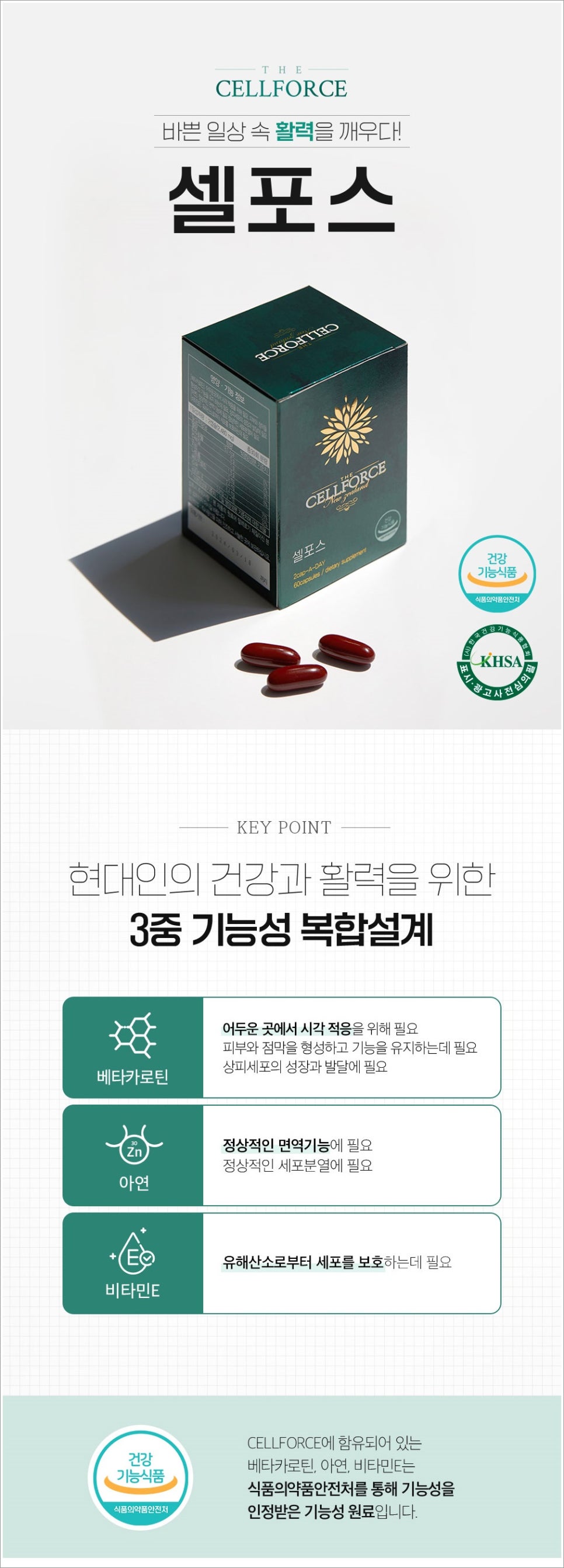 도도인터내셔널 이미지