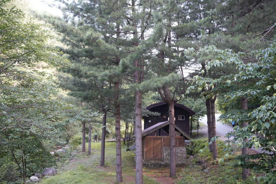 국립청옥산자연휴양림 이미지