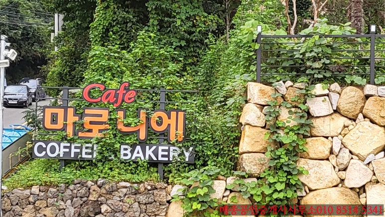 마로니에커피숍 이미지
