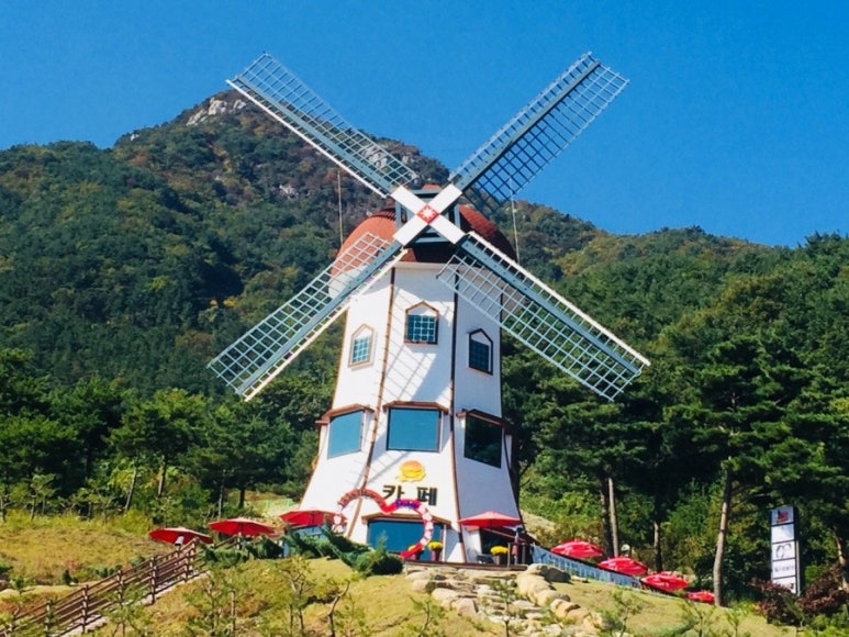 풍차카페수제버거 이미지