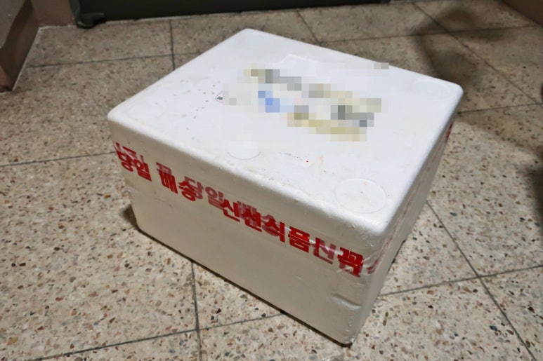 203홍어 이미지