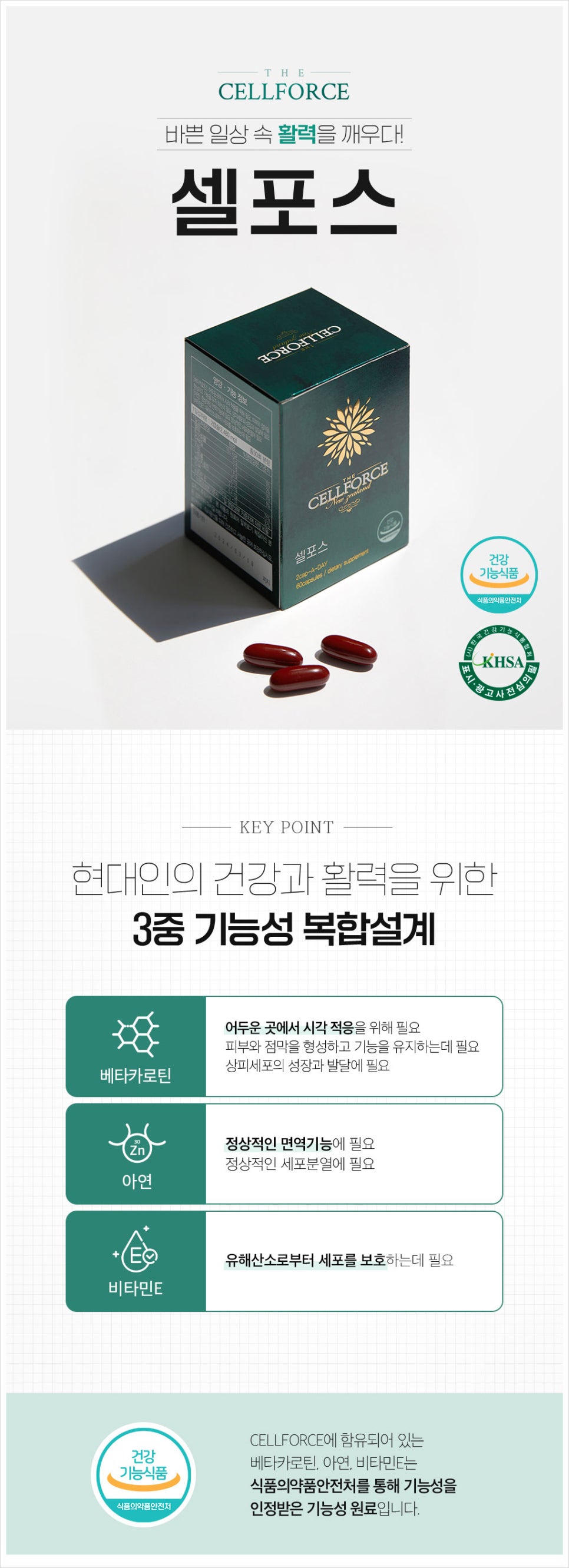 도도인터내셔널 이미지