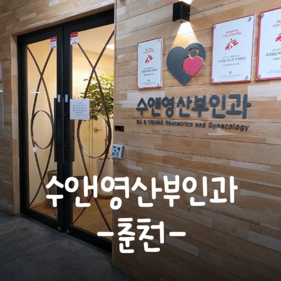 수앤영 이미지