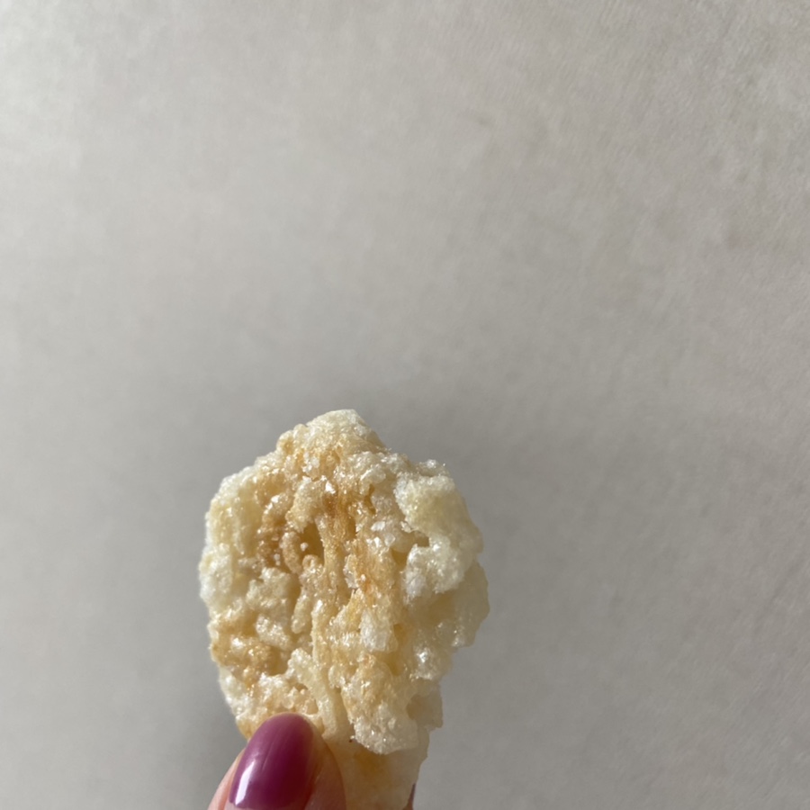 천하무적 다온 이미지