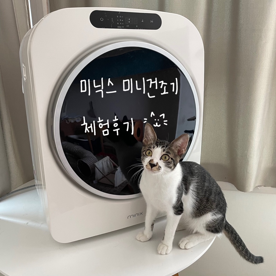 냥집사전기 이미지