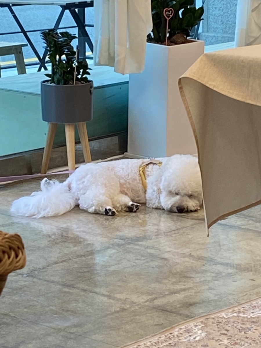 카밍테이블 이미지