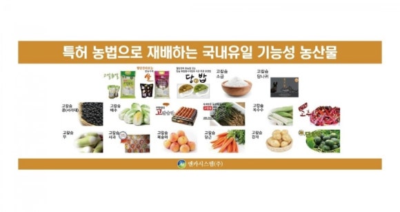 엔카시스템(주) 이미지