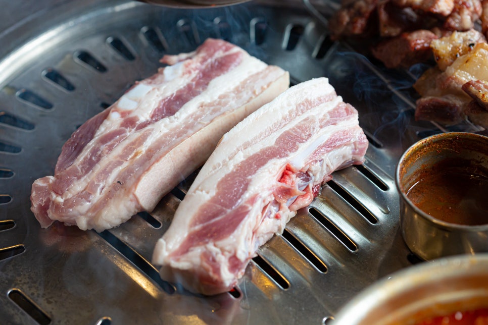 섬돼지 이미지