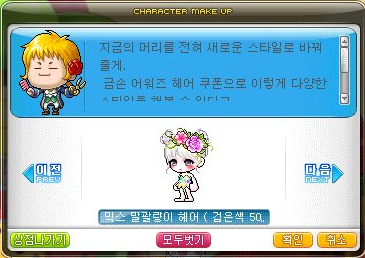 스테리헤어 이미지