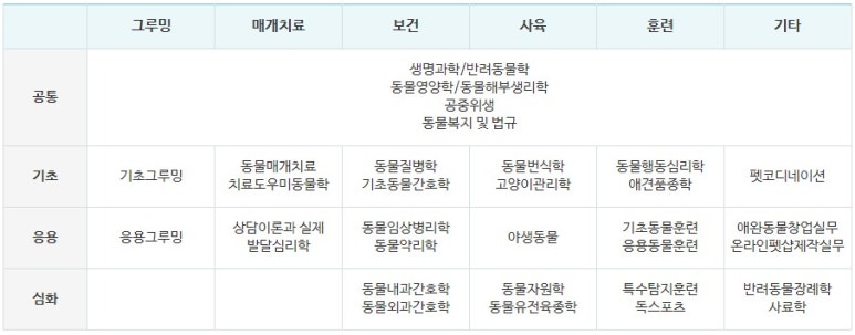주식회사 에이스교육원 이미지