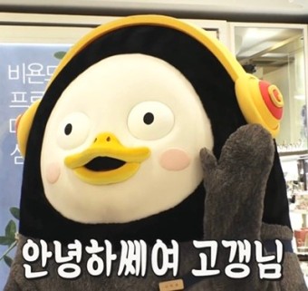 영신관광여행사 이미지