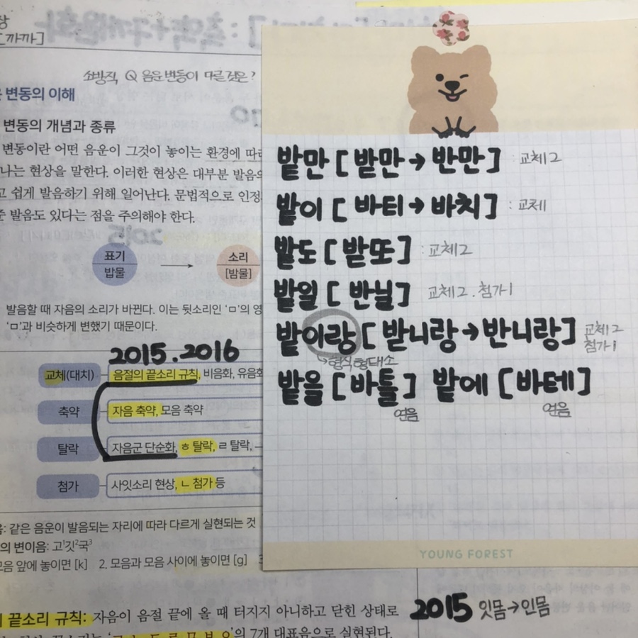 밭이랑반니랑 이미지