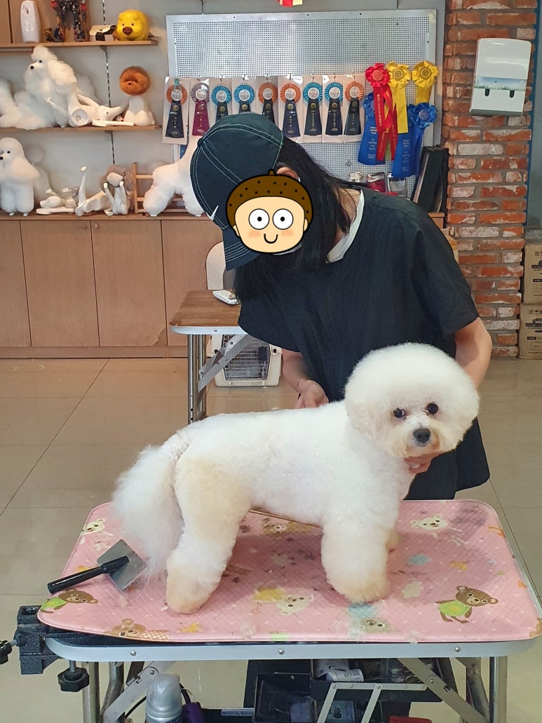김성균애견미용학원 이미지