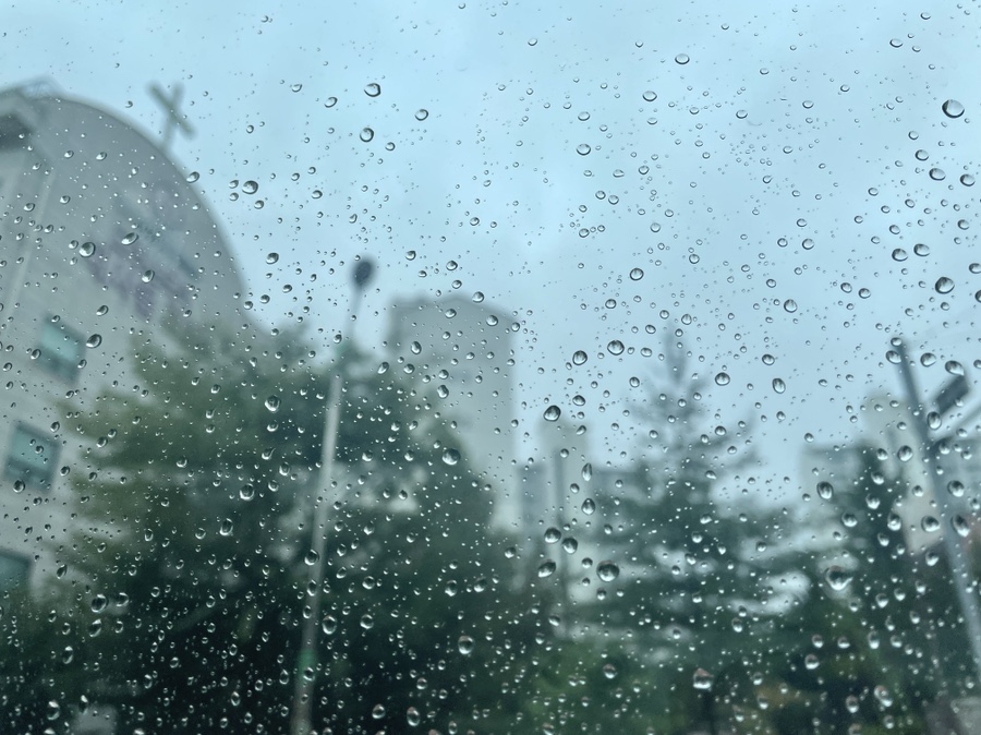 김학선내과의원 이미지