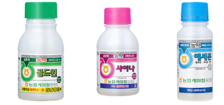 수국반점 이미지
