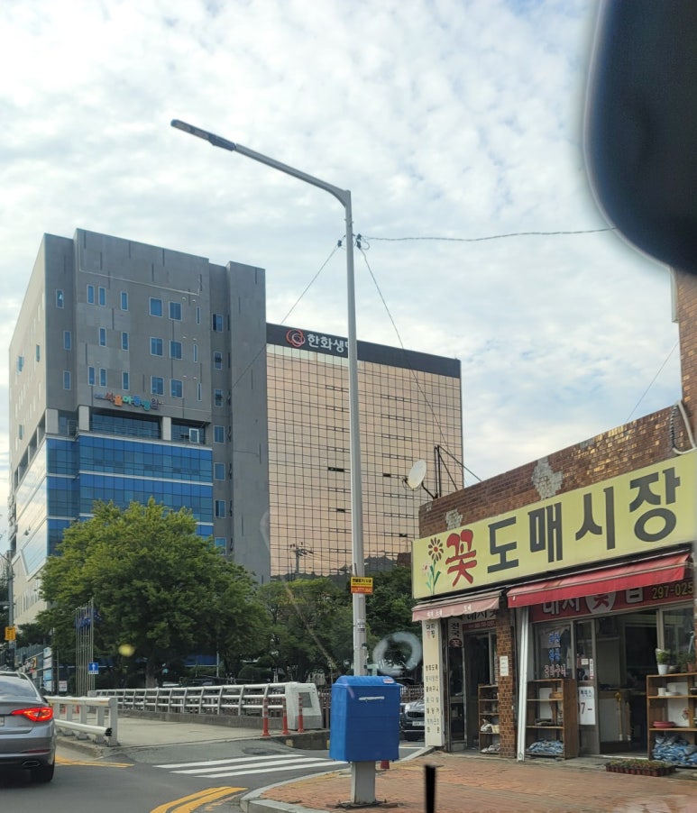 대지꽃집 이미지