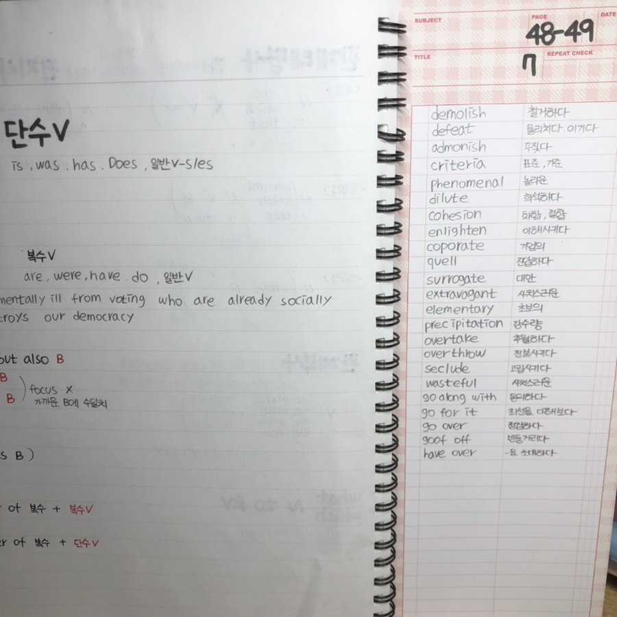 밭이랑반니랑 이미지