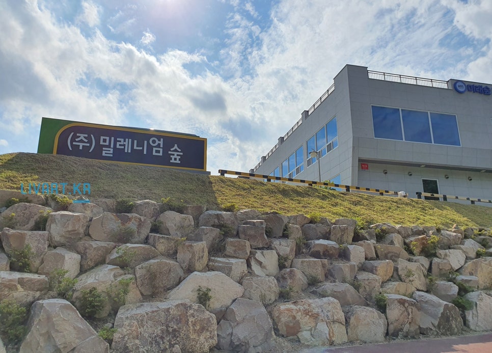 주식회사 밀레니엄 이미지