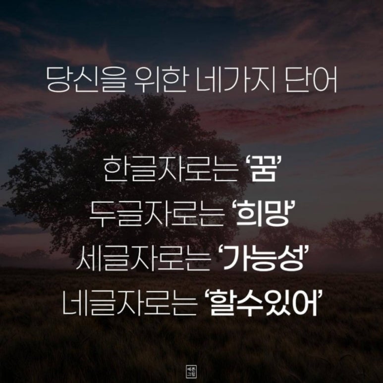 피부미인인셀덤 이미지