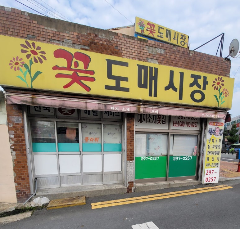 대지꽃집 이미지